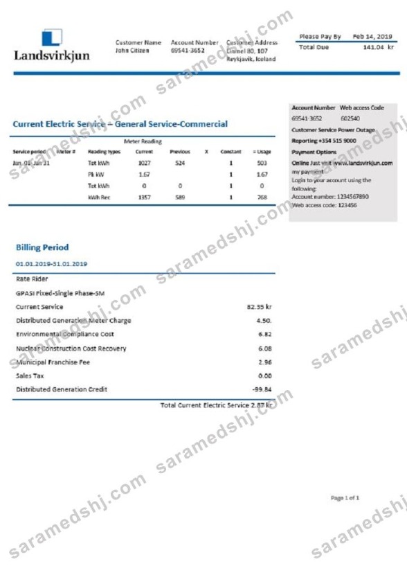 Iceland National Power Company of Iceland Landsvirkjun electricity utility bill